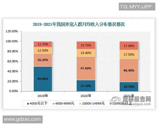南京排球队杯赛表现分析：意识与团队协作的深度探讨