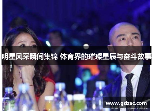 明星风采瞬间集锦 体育界的璀璨星辰与奋斗故事