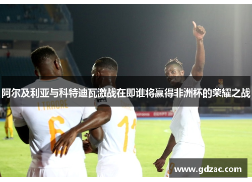 阿尔及利亚与科特迪瓦激战在即谁将赢得非洲杯的荣耀之战