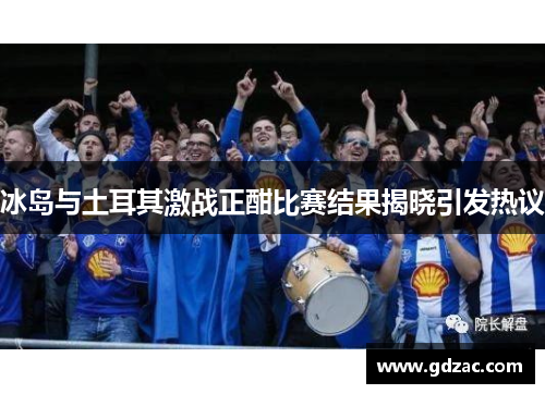 冰岛与土耳其激战正酣比赛结果揭晓引发热议